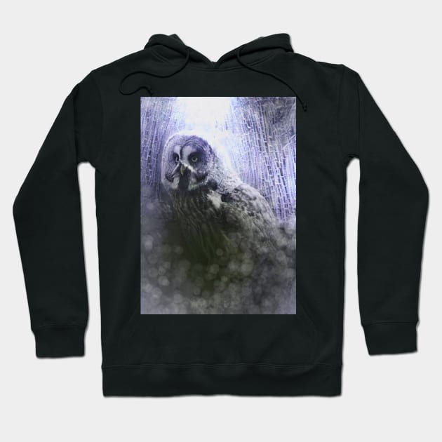 Gray Owl Spirit Hoodie by On Dragon Wings Studio